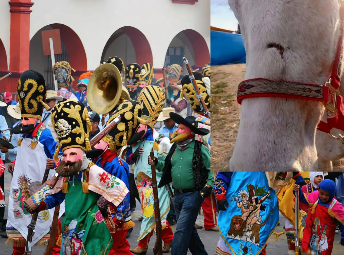 VIDEO: Condenan maltrato animal en Carnaval de Huejotzingo