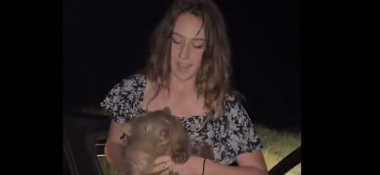 Influencer americana captura a cría de Wombat para tomarse una foto 