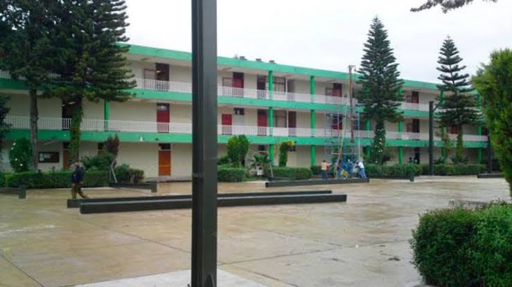 Destituyen a Arid Hernández como directora del BINE