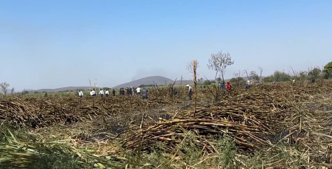 En Matzaco hombre dormía en terreno de caña y muere quemado