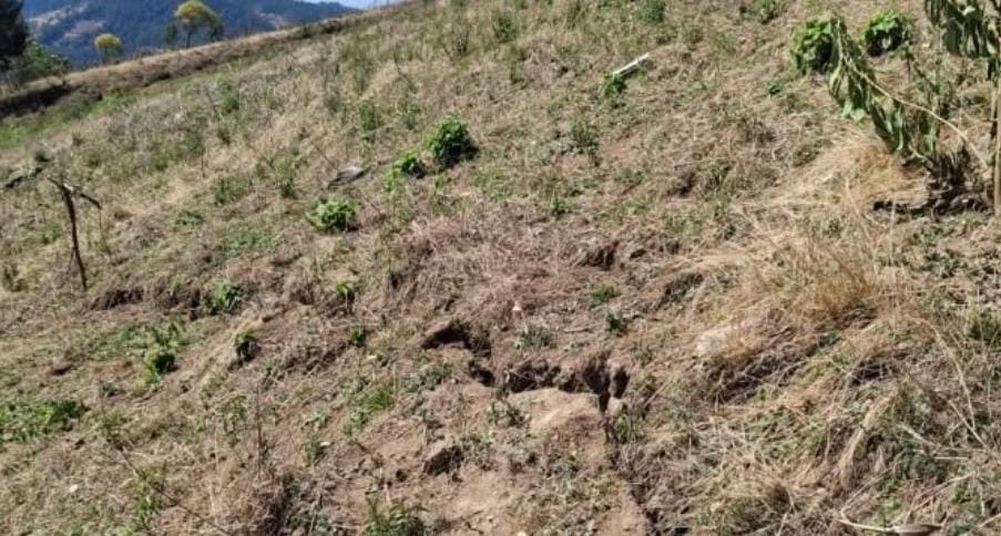 Continúan la extracción de material en cerros de Ajalpan.