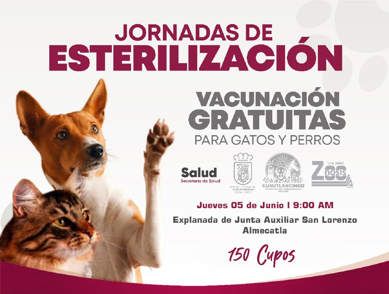 Esterilización y vacunación gratuita en San Lorenzo Almecatla este 5 de junio