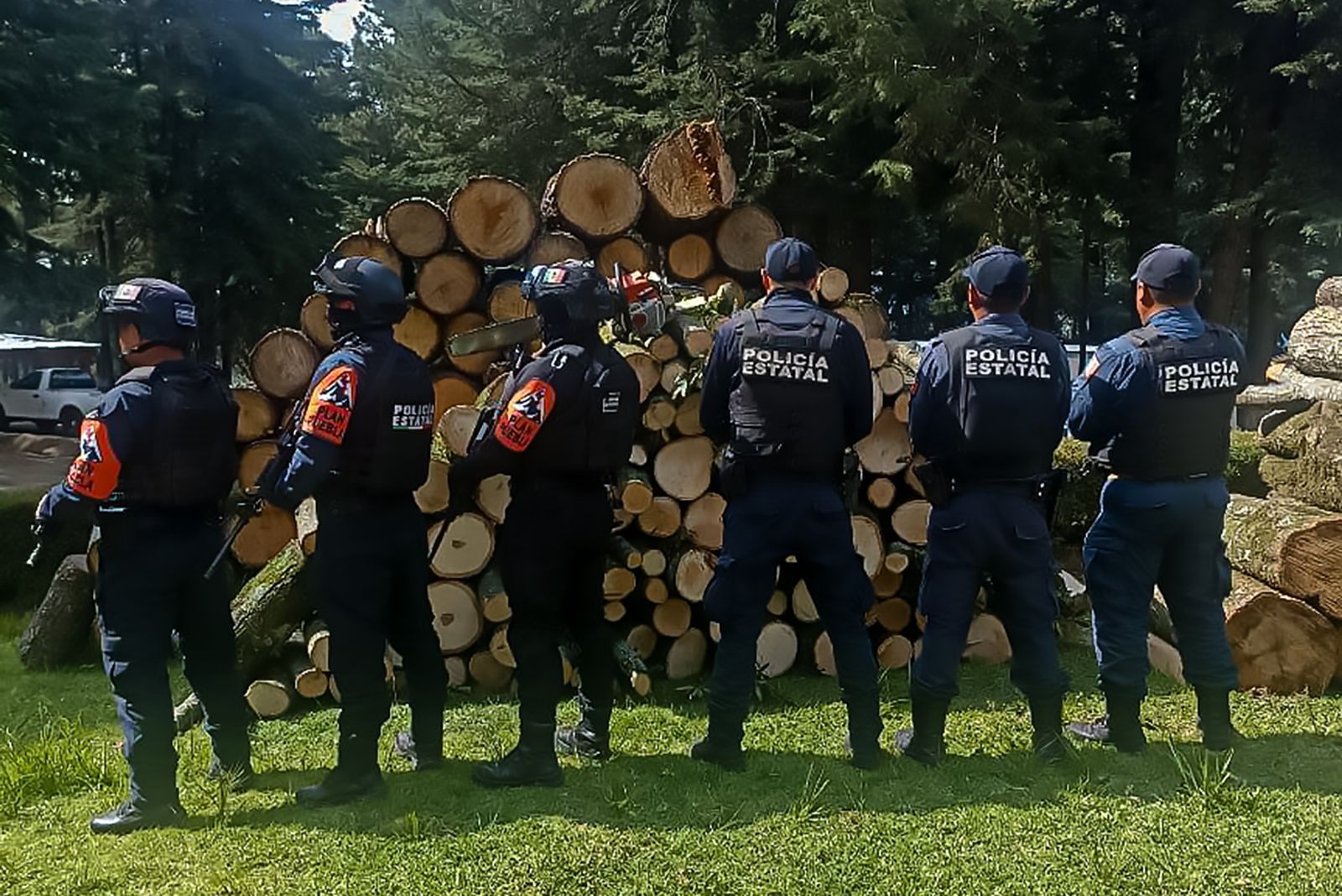 Recuperan Policía Estatal Forestal de Puebla y Tlaxcala tres metros cúbicos de madera.