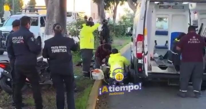 Motociclista choca contra árbol en Bulevar 5 de Mayo