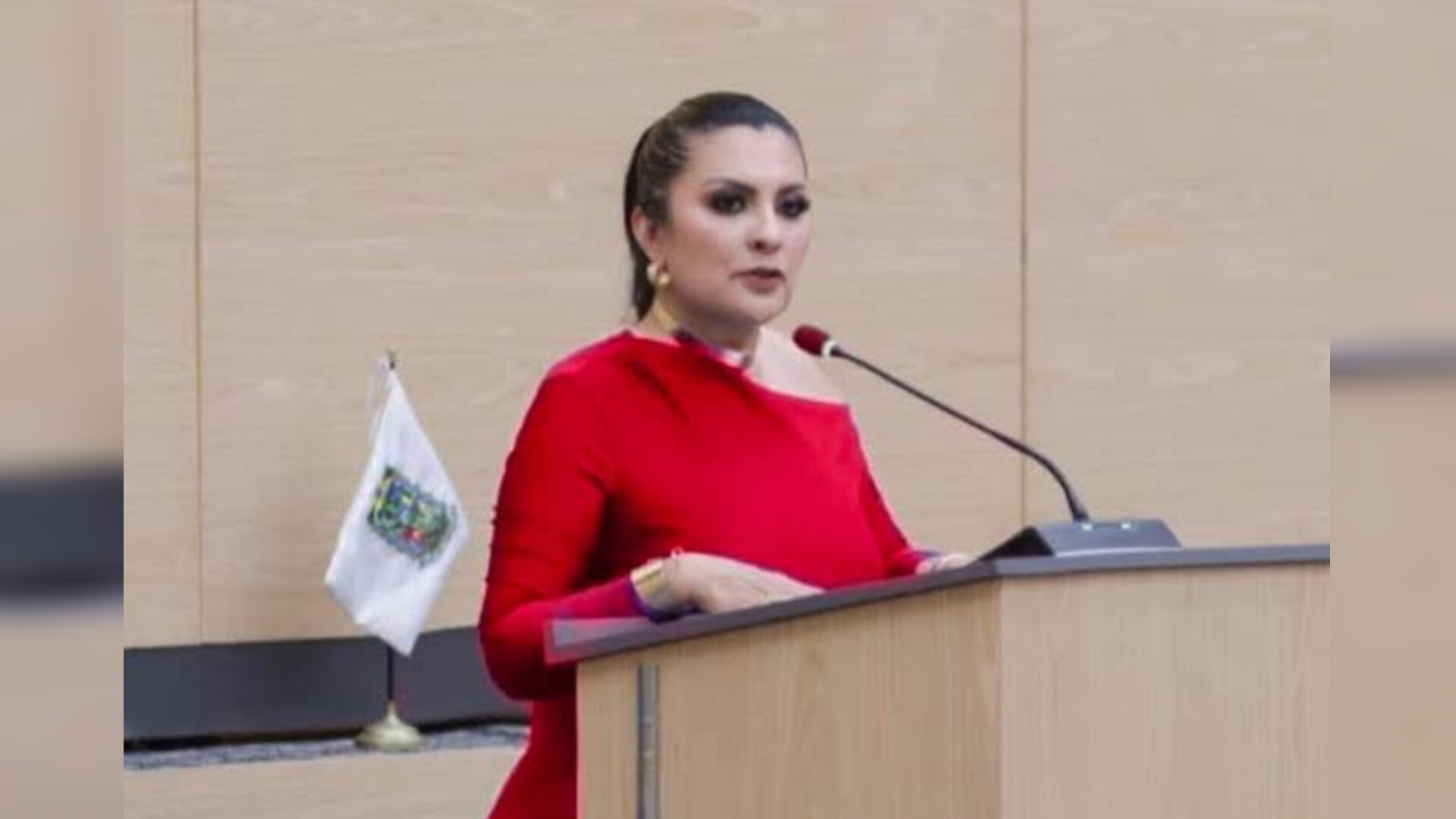 Delfina Pozos asume dirigencia del PRI en Puebla tras salida de Néstor Camarillo