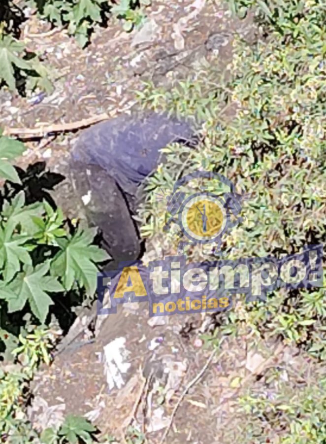 Joven alcoholizado cae a barranca y moviliza a cuerpos de emergencia