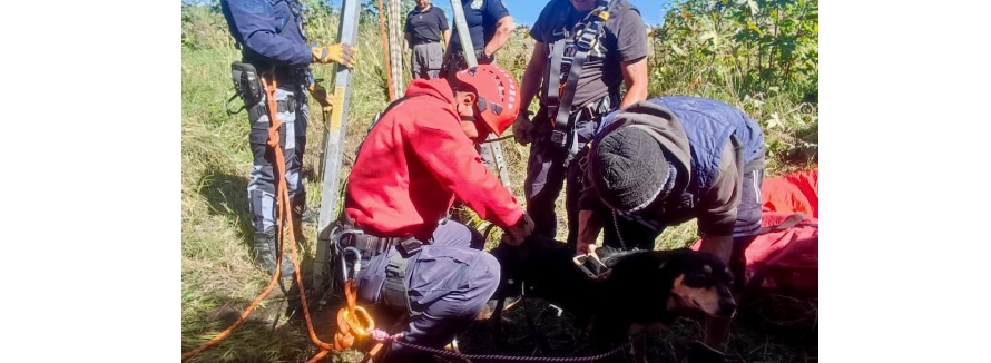 Rescatan a tres perritas de un pozo en Tlaxcalancingo