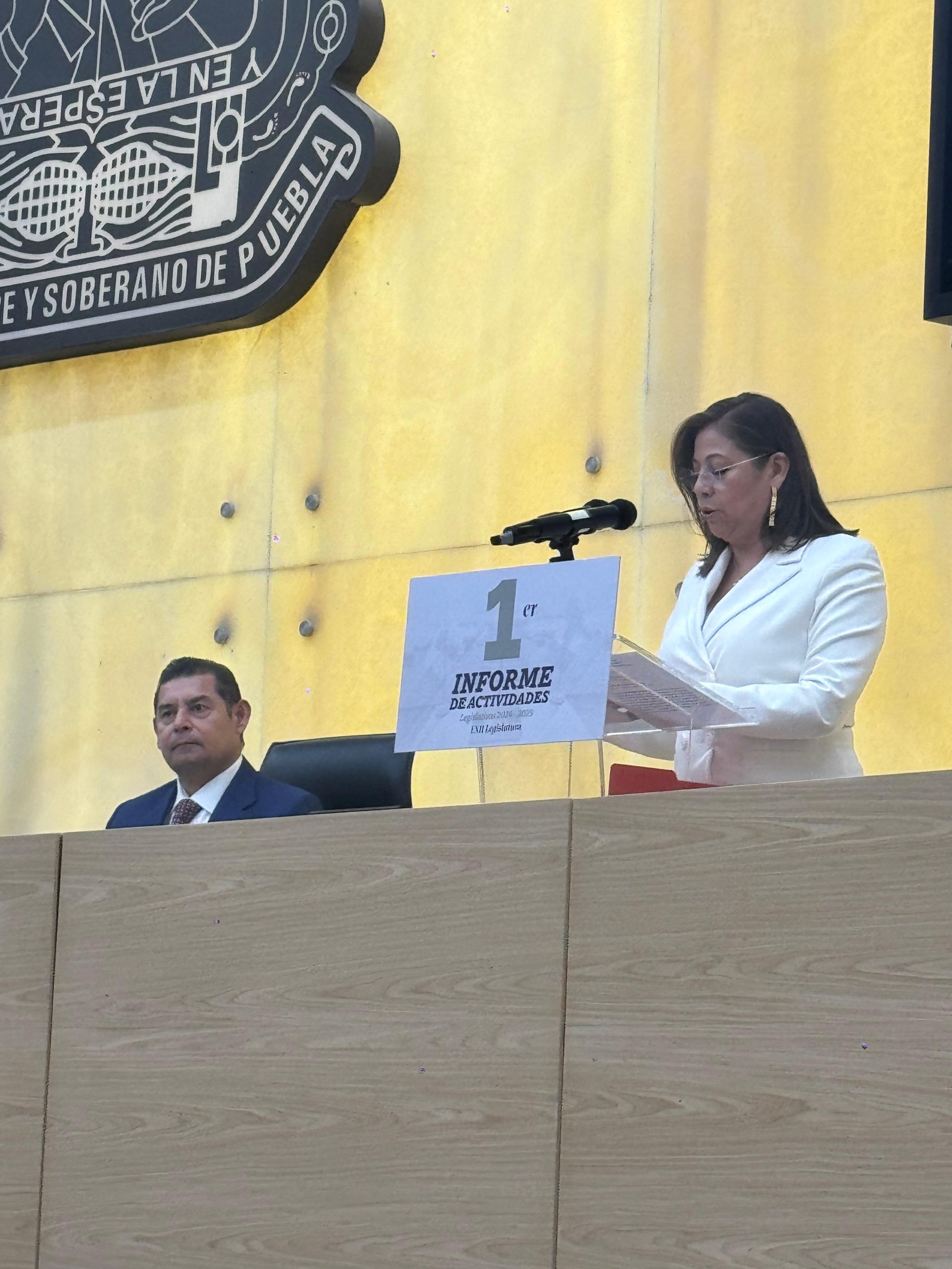 Actual Legislatura, la más productiva y sin miedo a legislar: Artemisa García