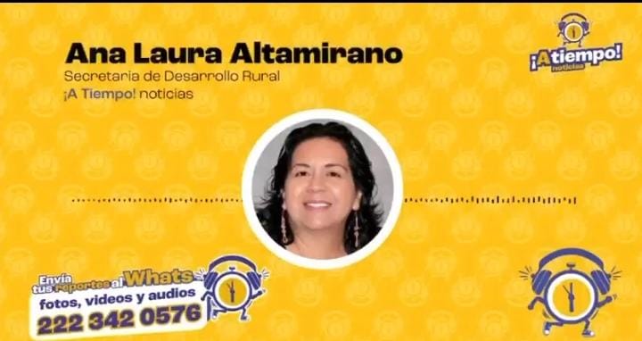 Confirman 17 casos de gusano barrenador en Puebla: SDR