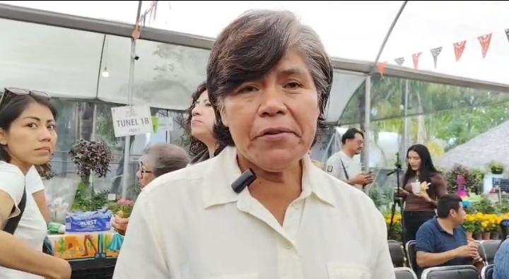 Productores de Cempasúchil en Atlixco mantienen precios pese a lluvias