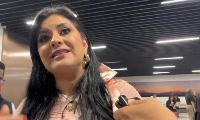 PRI proyecta renovar su dirigencia estatal por consejo político