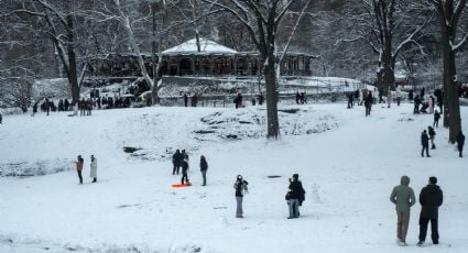 Tormentas invernales causan más de siete mil cancelaciones aéreas en EU