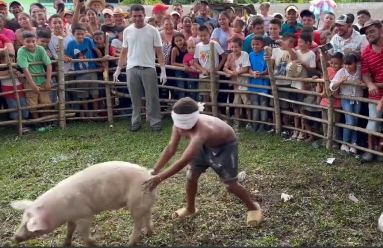 Suspenden actividad del “puerquito encebado” en Zacapoaxtla.