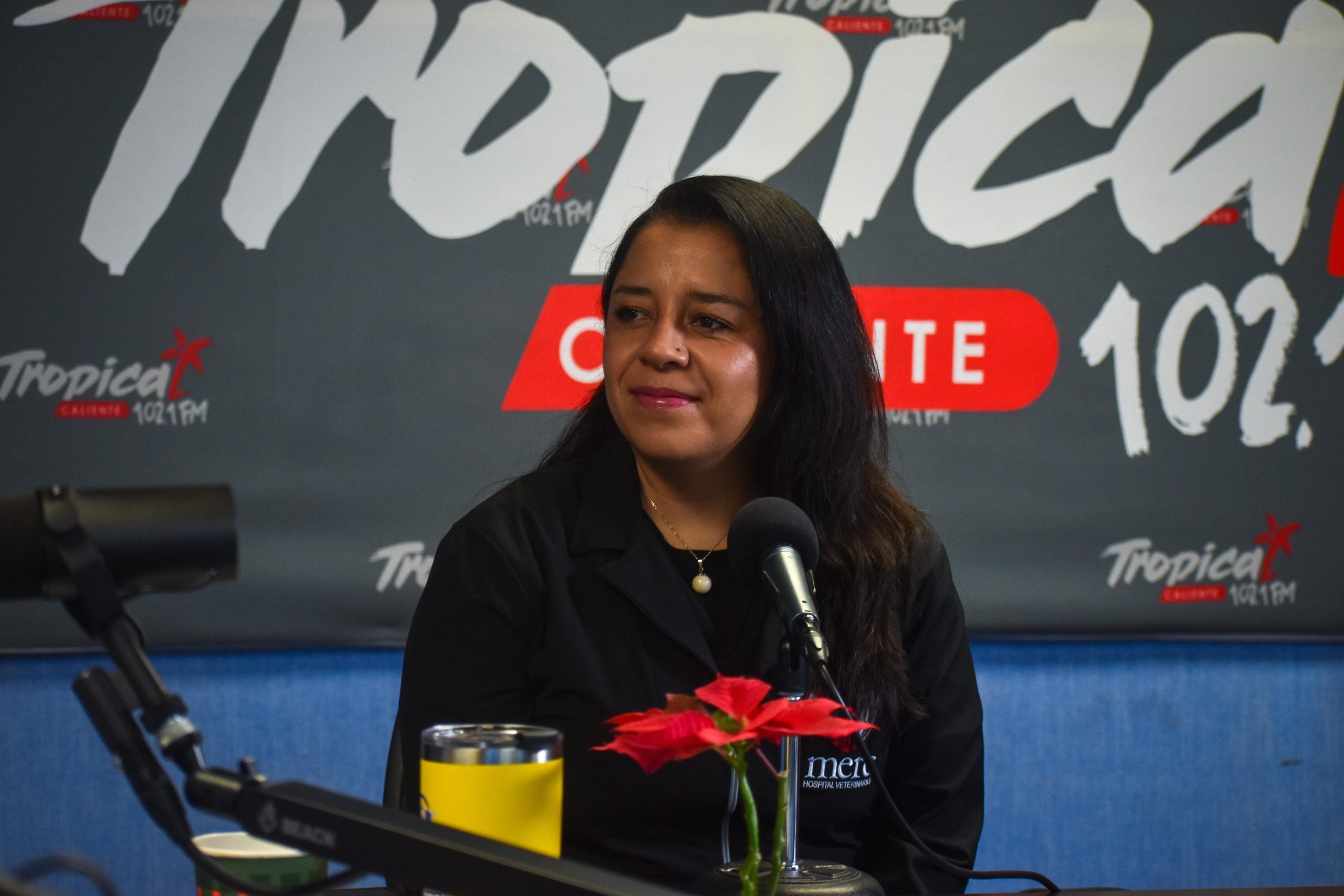 Recomendaciones para proteger a mascotas durante pirotecnia: Mari Mercado