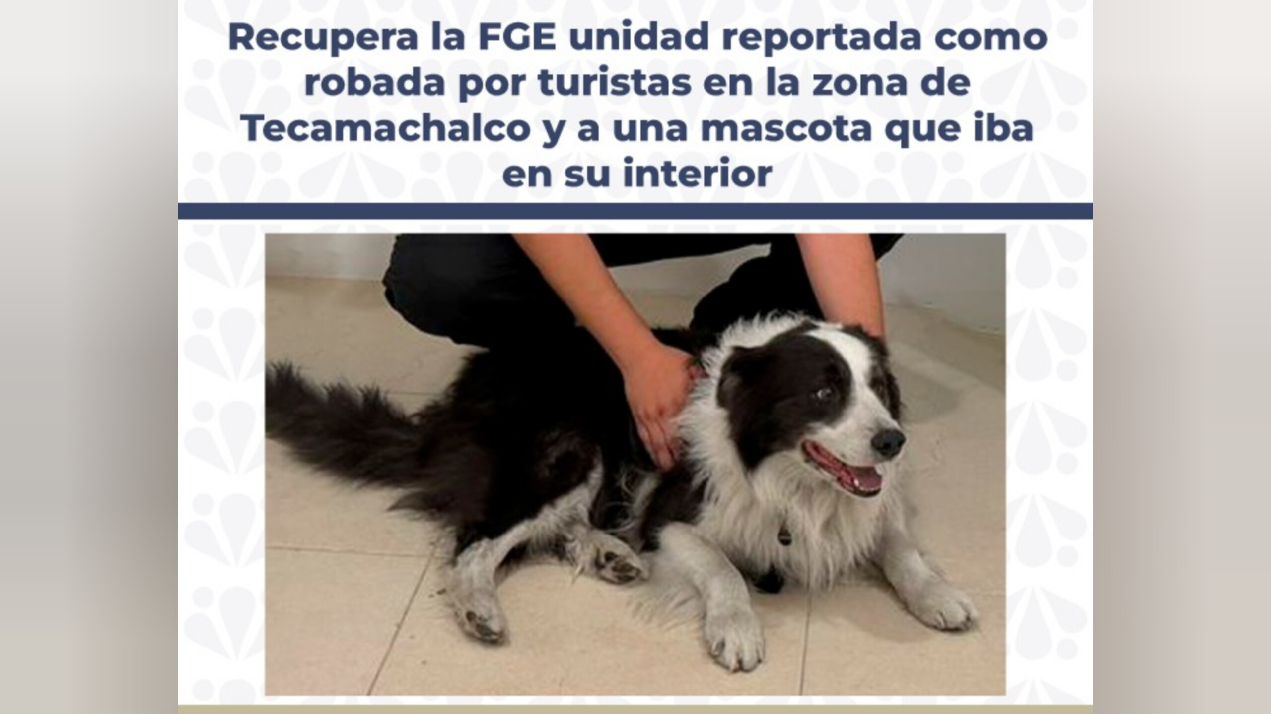 Recupera FGE camioneta robada y una mascota en Tecamachalco