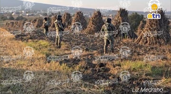 Hallan seis cuerpos con huellas de violencia en límites de Puebla y Tlaxcala