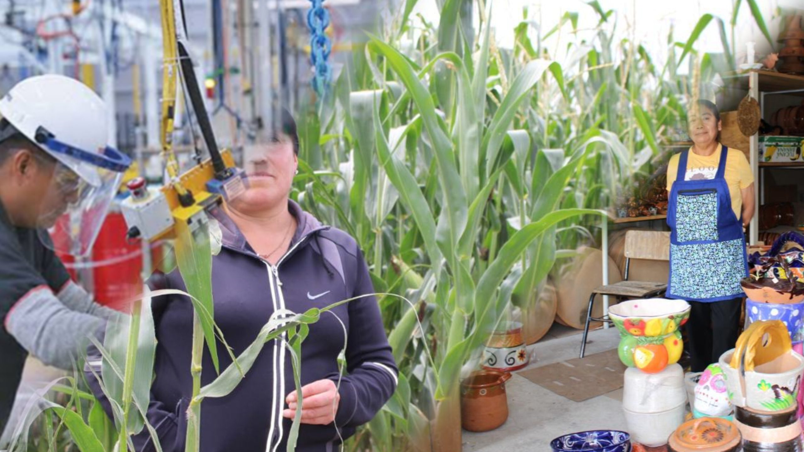 Empleo crece en servicios y comercio en Tlaxcala: ENOE