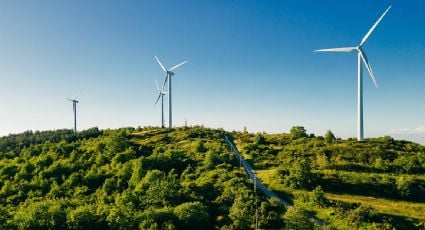 ONU alerta por impacto del cambio climático y la contaminación