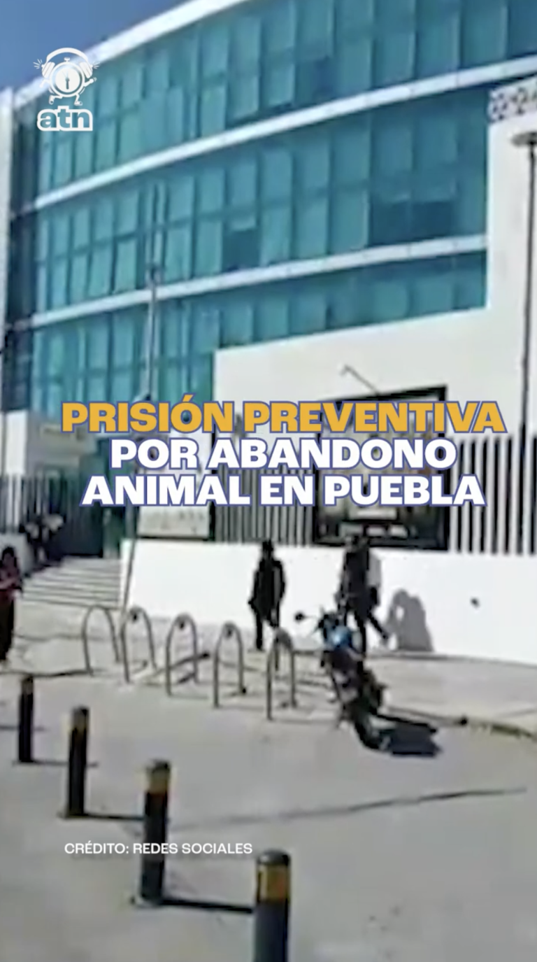 Prisión preventiva por abandono animal en Puebla: caso “Deysi” conmociona en Puebla