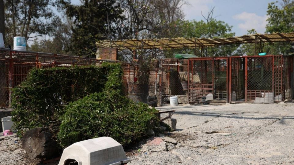 Refugio Franciscano retoma predio en Cuajimalpa; fundación denuncia despojo