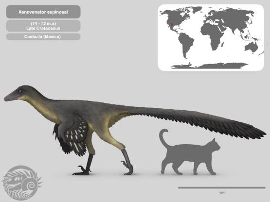 Identifican nueva especie de dinosaurio en Coahuila