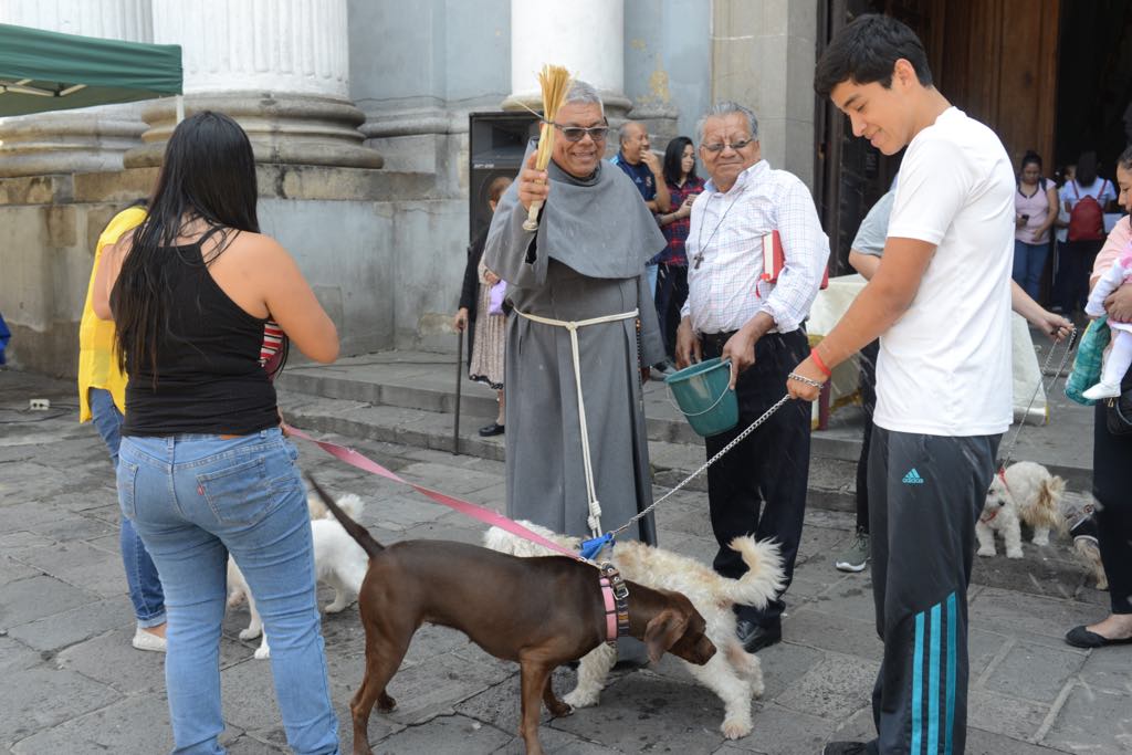 Puebla se prepara para bendecir a sus mascotas por San Antonio Abad