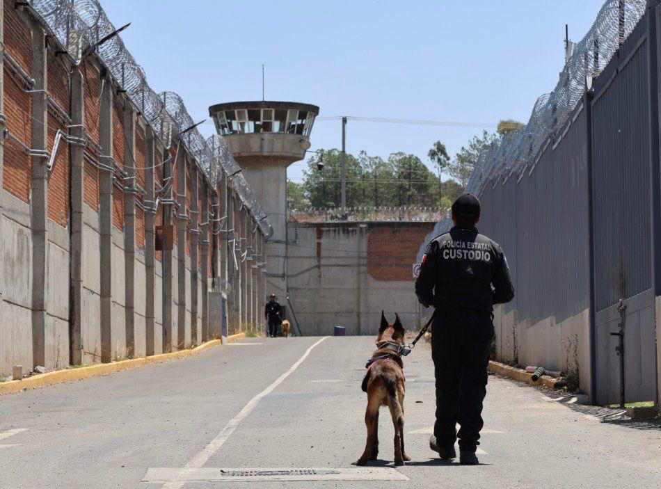 Unidad K9 penitenciaria obtiene certificación