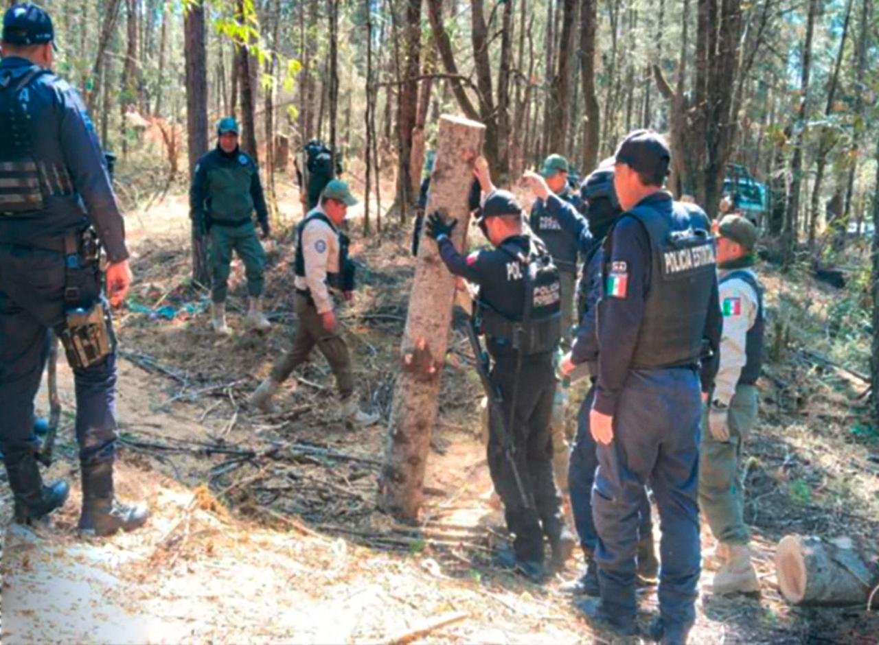 Aseguran más de 90 troncos en operativo Puebla-Tlaxcala
