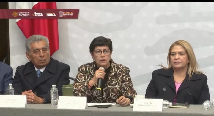 Detienen 266 vehículos en operativos de movilidad : Silvia Tanús