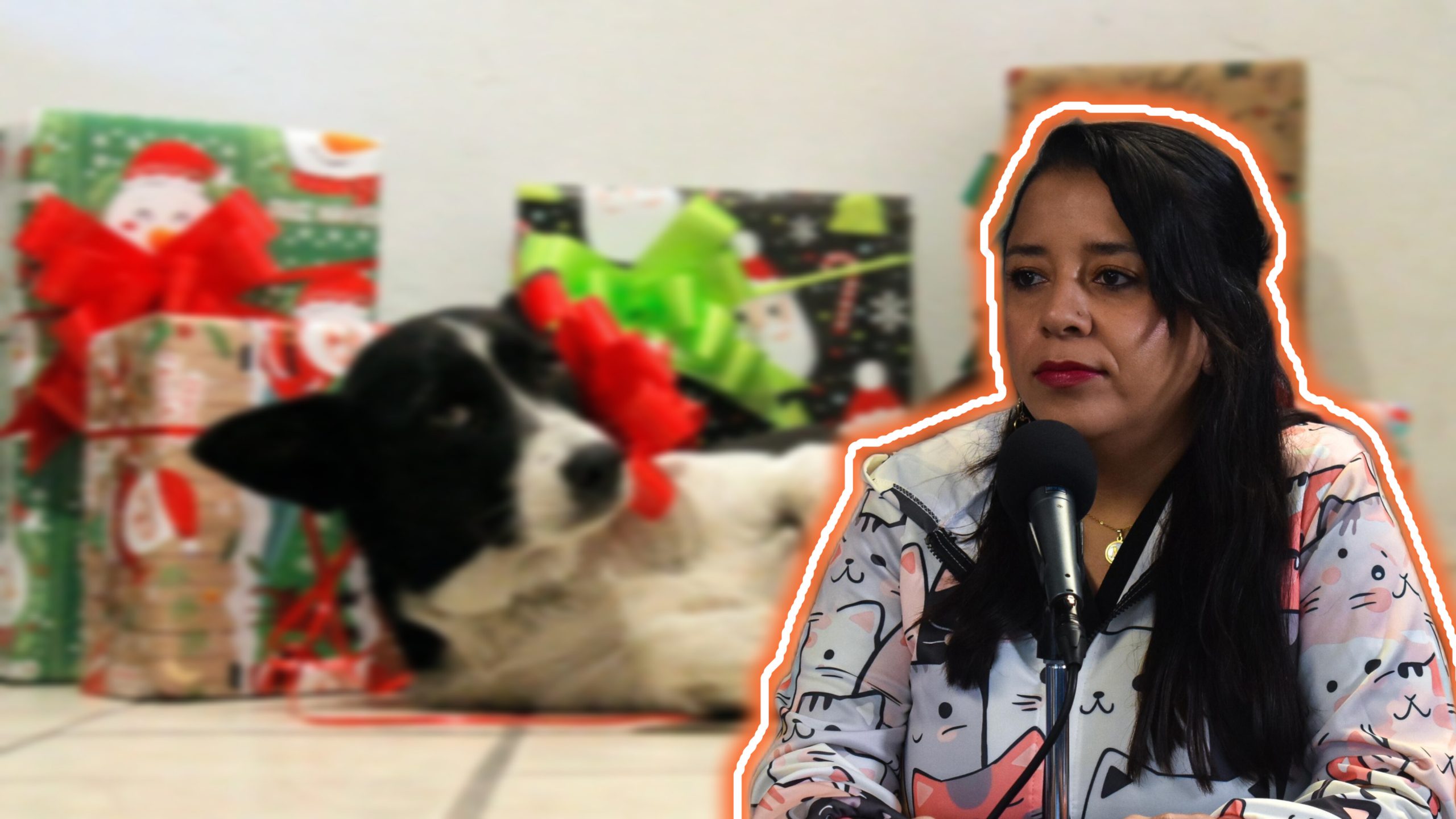 Mascotas requieren cuidado y compromiso.