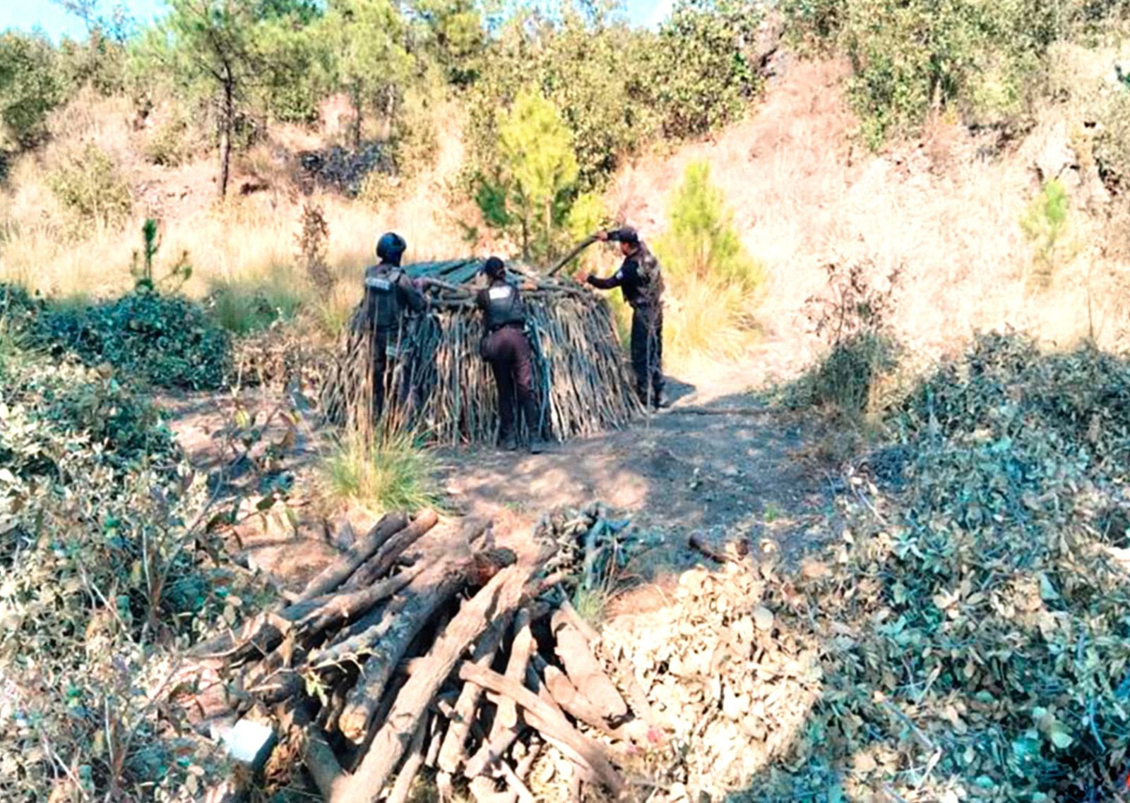 Elimina Policía Forestal seis hornos clandestinos para procesar madera