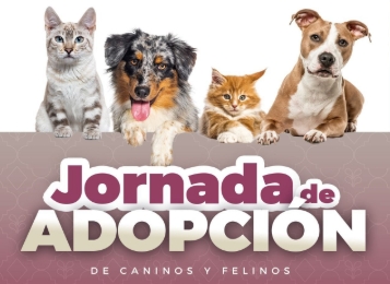 Gobierno de Pepe Chedraui invita a participar en las Jornadas de Adopción de Gatitos y Perritos