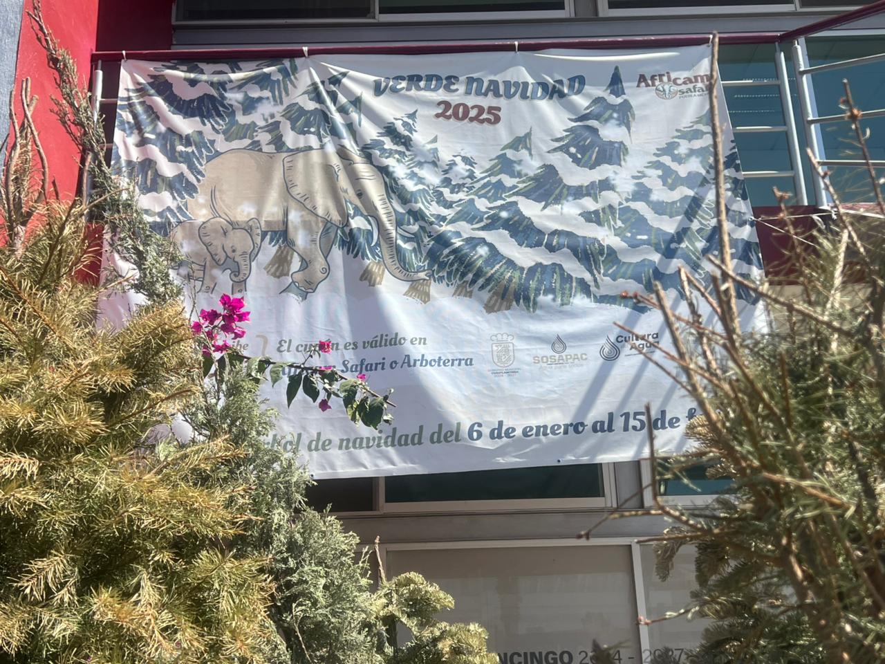 Ultima semana para el programa verde Navidad en Cuautlancingo