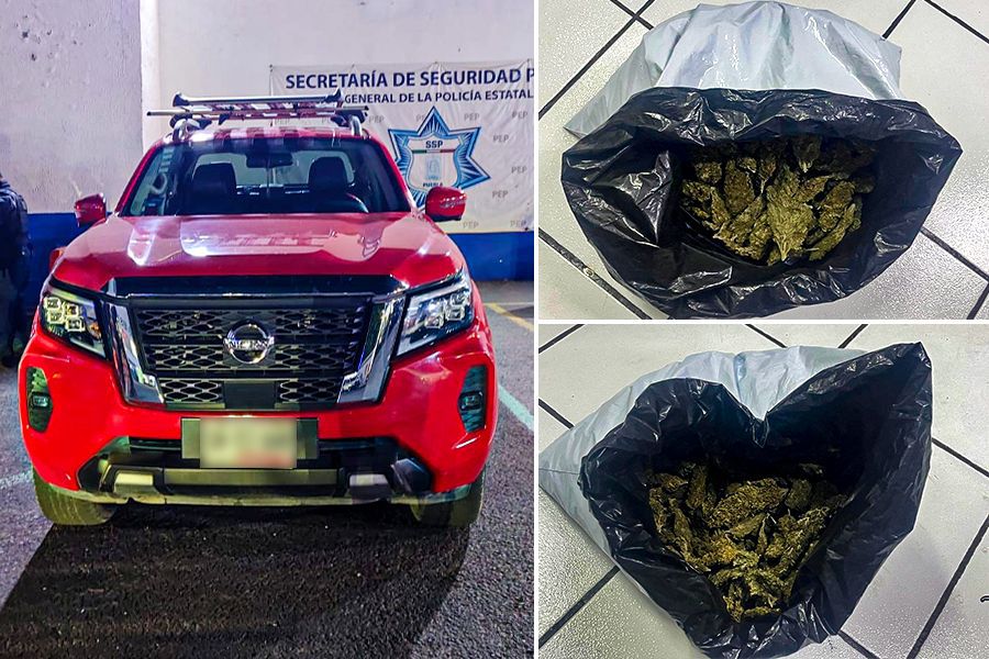 Detiene SSP a dos mujeres y un hombre en posesión de marihuana