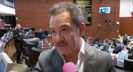 Suspende Senado servicio de tintes de pelo para revisión interna