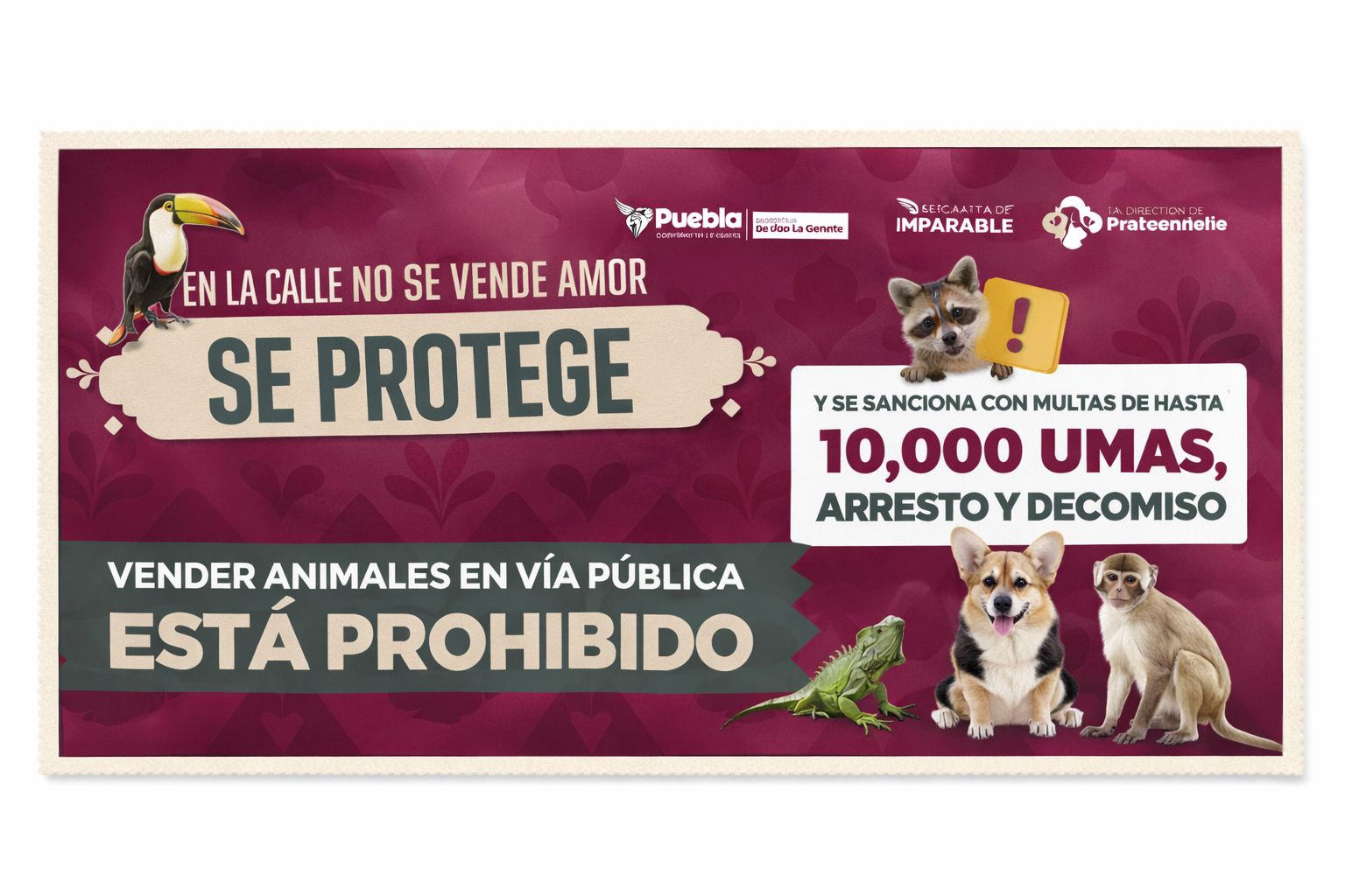 Refuerzan operativos para regular venta de animales en vía pública en Puebla