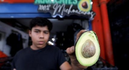 Aumentan envíos de aguacate mexicano por Super Bowl