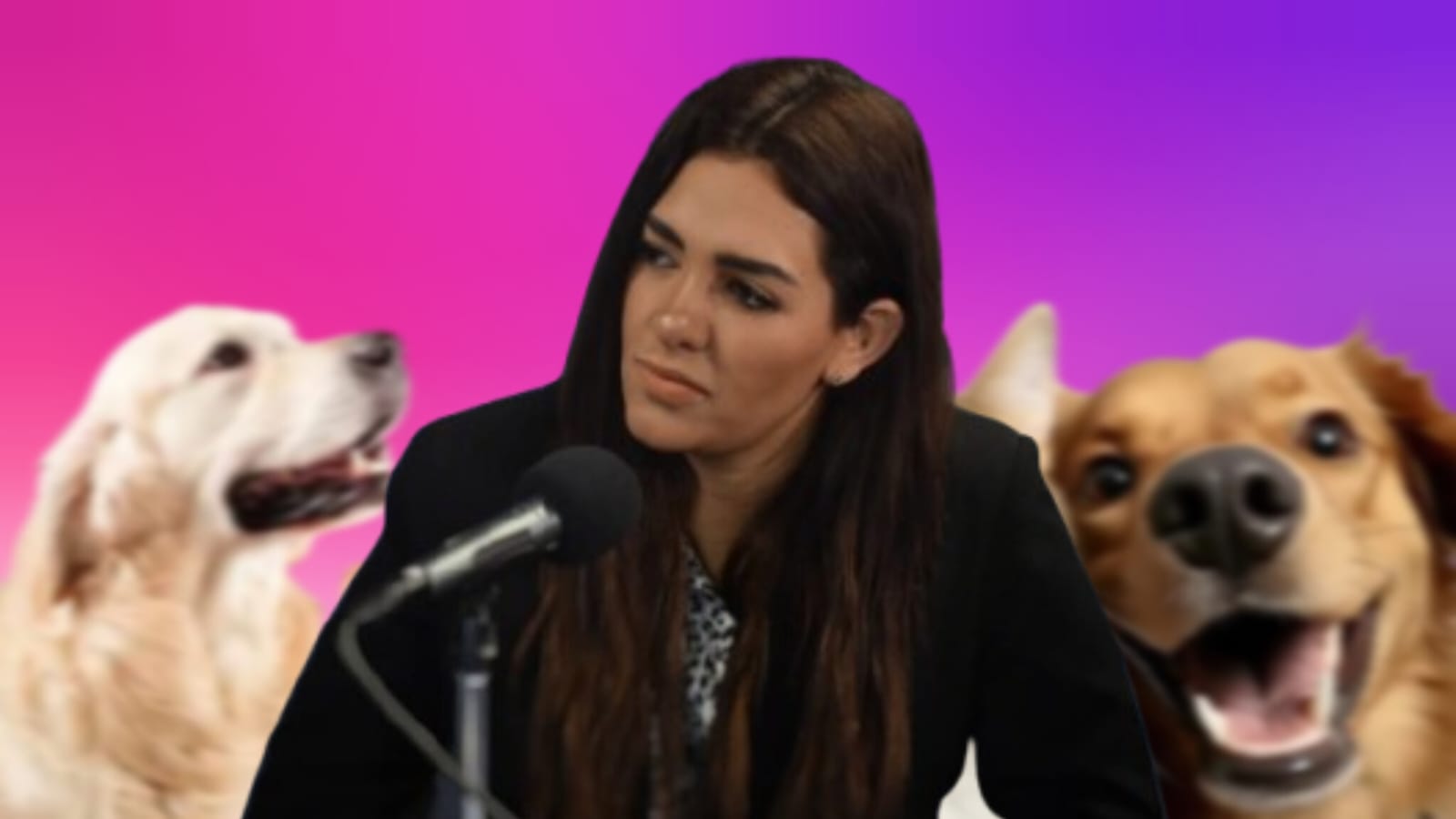 Refuerzan atención a denuncias por maltrato animal en Puebla