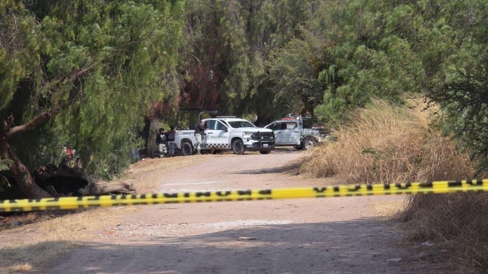 Viernes violento en Guanajuato deja 19 personas asesinadas