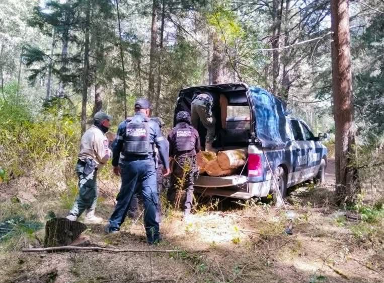 Aseguran madera durante operativo en La Malinche