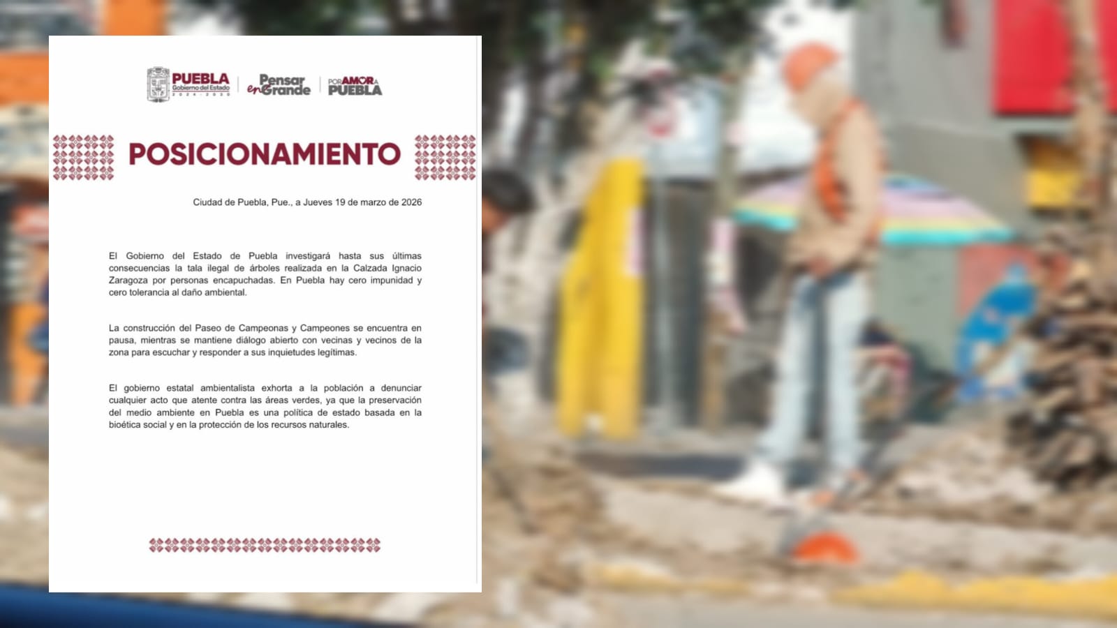 Investigan tala en Calzada Zaragoza : Gobierno del Estado de Puebla