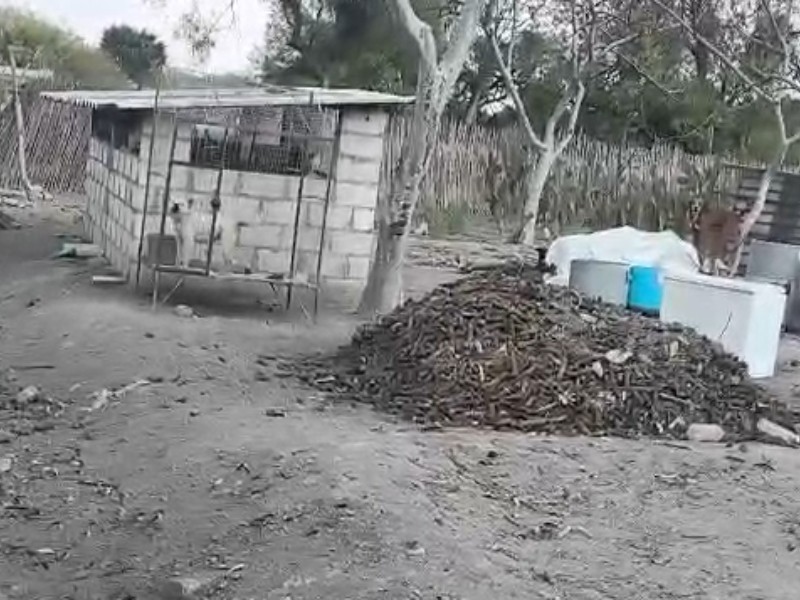 Tres lomitos abandonados en predio de Santa Maria Coapan
