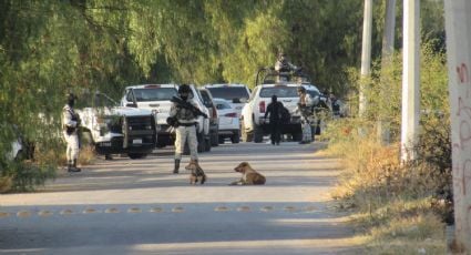 Detienen a “La Señora”, líder criminal en Guanajuato
