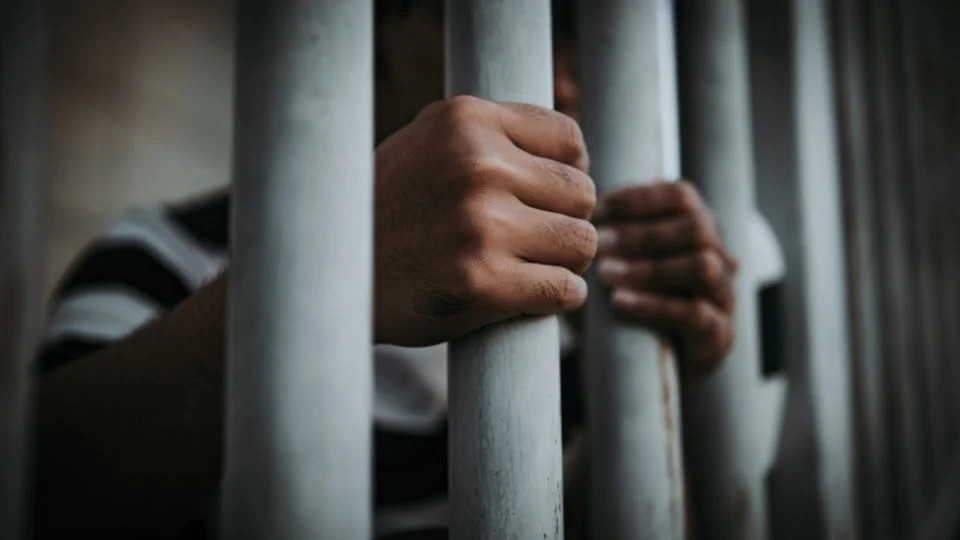 Interpol rescata a 65 menores víctimas de abuso