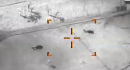 EU y Ecuador realizan operación conjunta