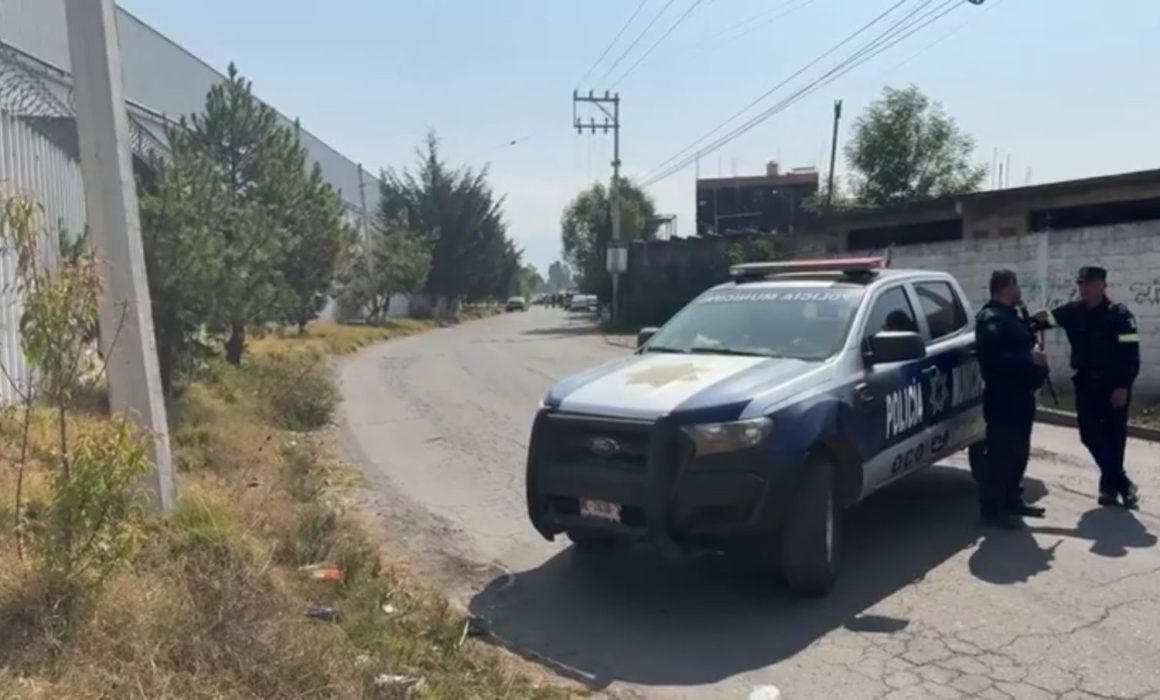 Rescatan a hombre que liberó leones en reserva de Ocoyoacac