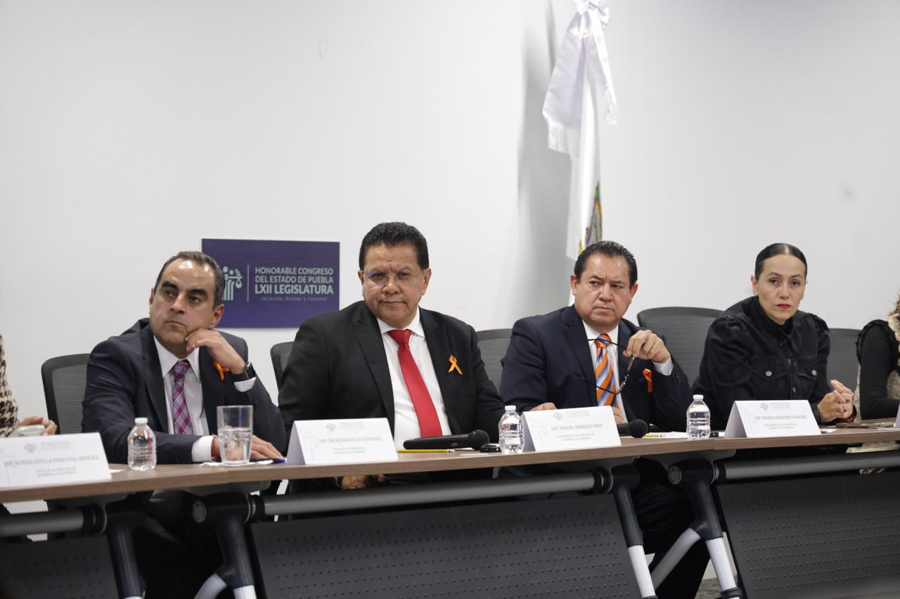 Impulsa Comisión de Desarrollo Económico acciones para mejorar atención de los servicios de la CFE