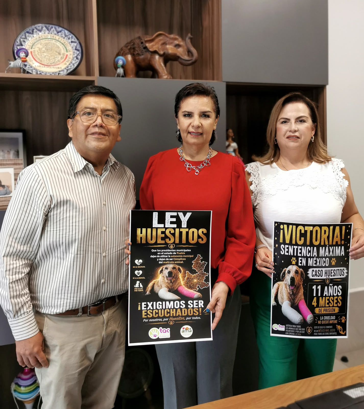 Impulsarán la “Ley Huesitos” tras agresión de un perro en Miahuatlán