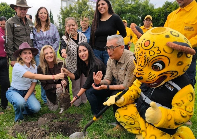Prevén plantar 2 millones de árboles en Puebla
