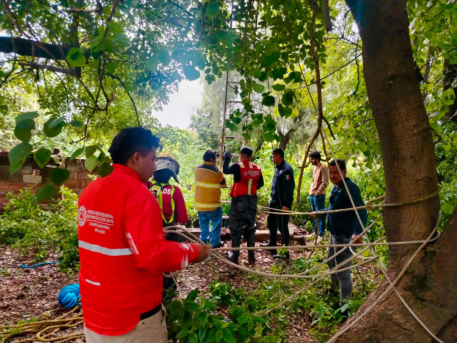 Bomberos y Protección Civil rescatan a ser sintiente en la Inspectoría Nuevo León